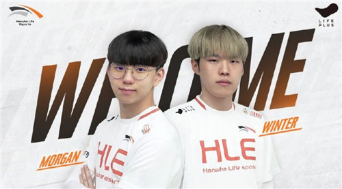 晰分工的体 晰分工的体